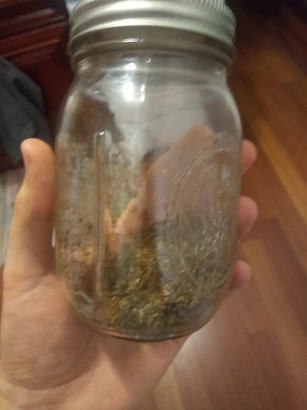 decarboxylated cannabis in jar