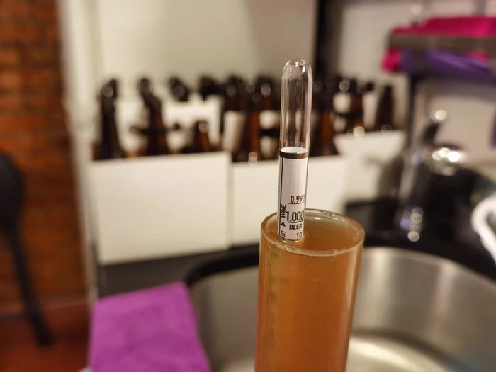 hydrometer showing final gravity