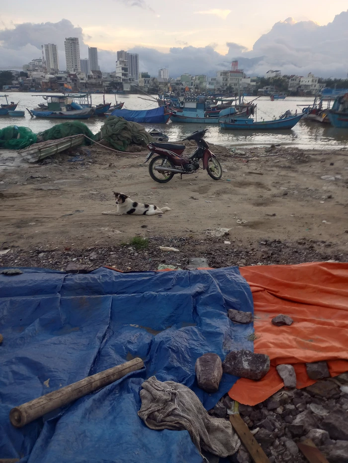 river with dog and motorbike